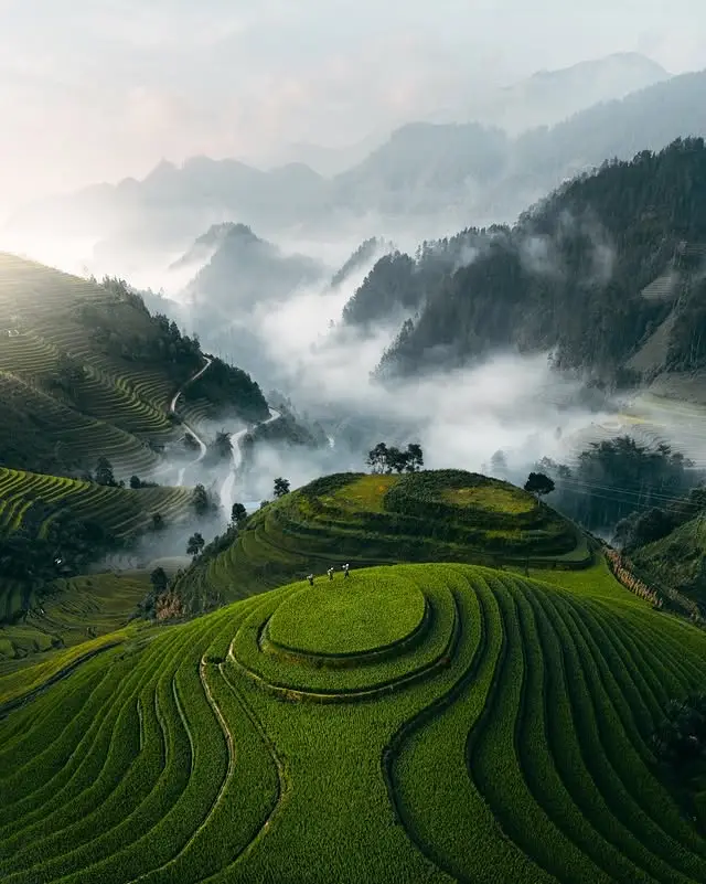 20260414104516246-图片_11