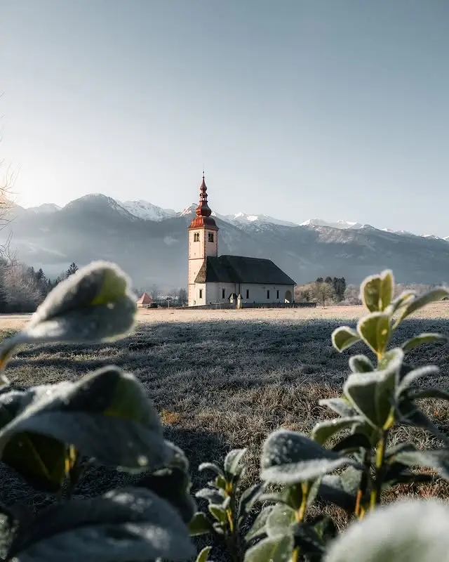 20260414104517538-图片_13