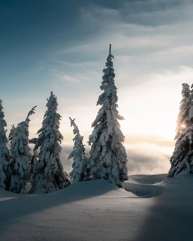 20260414104517818-图片_15