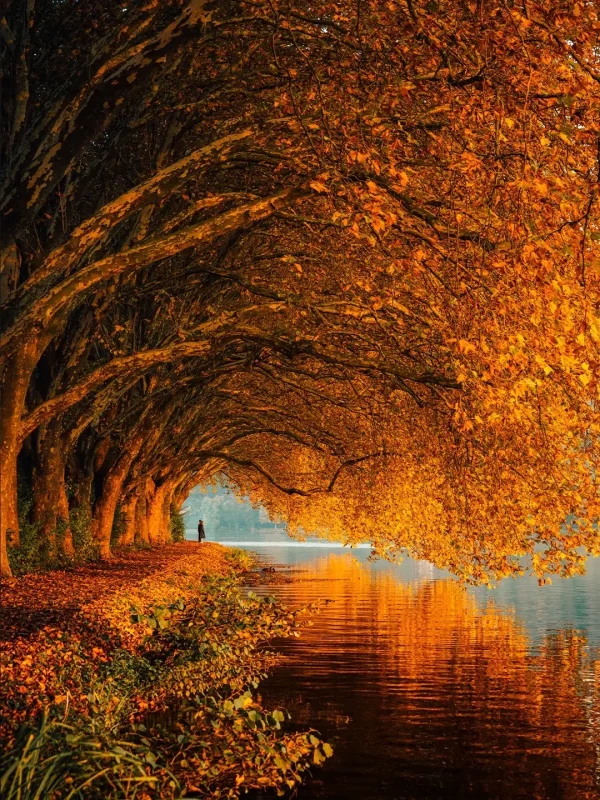 摄影分享｜德系风光天花板-Dominik Frings-沐光橙香