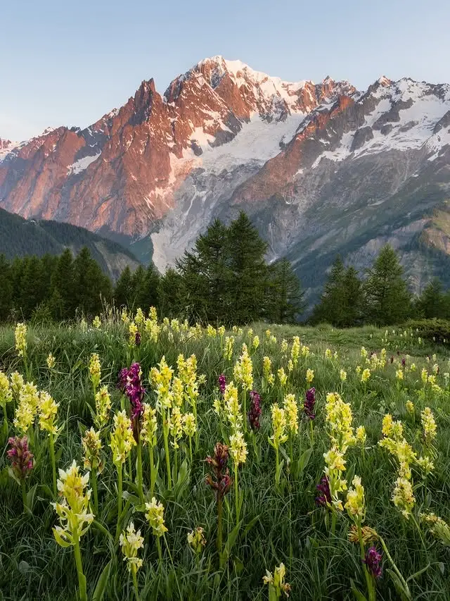 20260414110812164-图片_6