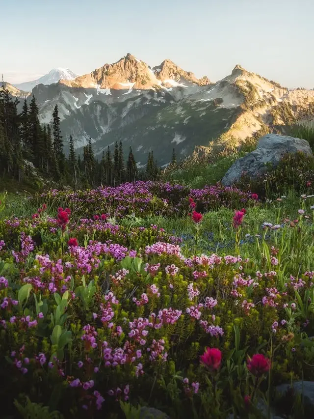 20260414110812447-图片_7