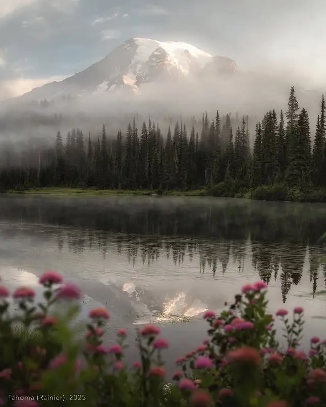 20260414110813710-图片_10