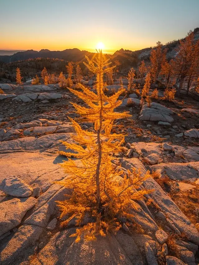 20260414110827797-图片_13