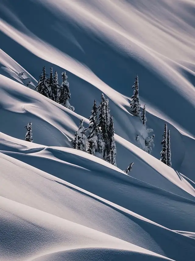 20260414110827935-图片_15