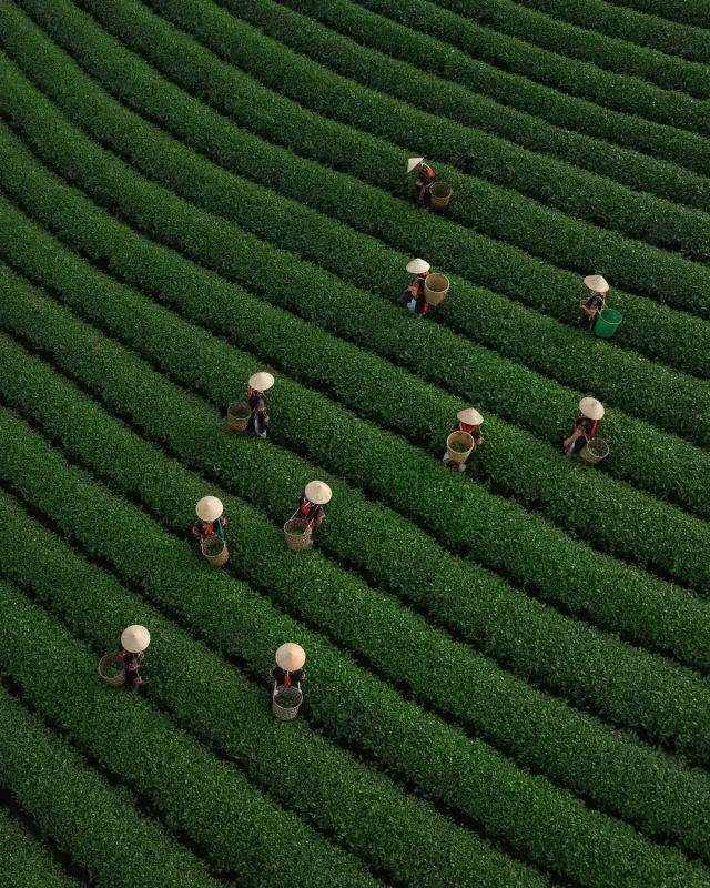 走进摄影师“Jord Hammond”的光影世界-沐光橙香