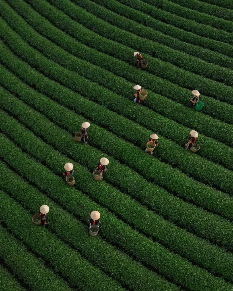 20260415091523939-图片_1