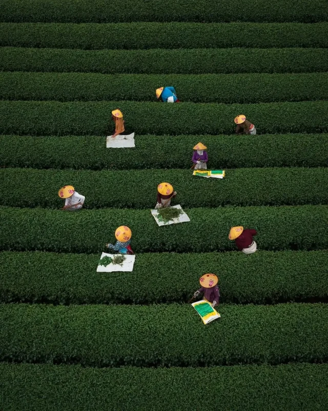 走进摄影师“Jord Hammond”的光影世界-沐光橙香