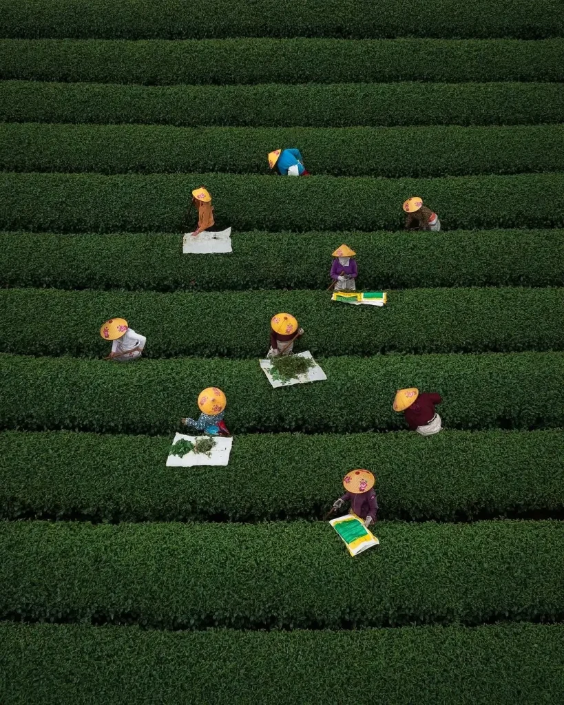 20260415091524390-图片_4