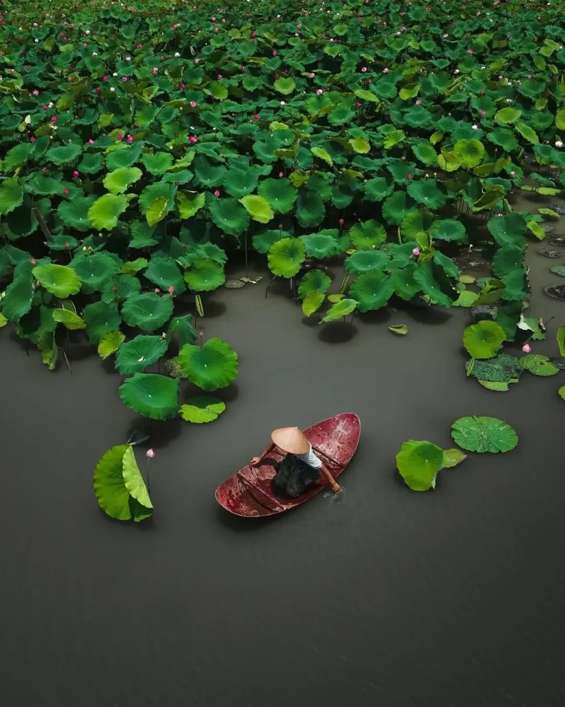 20260415091526242-图片_5