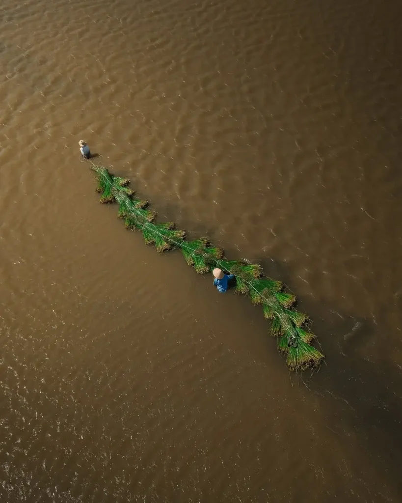 20260415091538123-图片_9