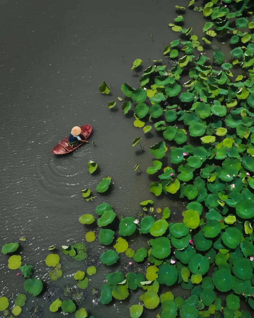 20260415091538495-图片_7