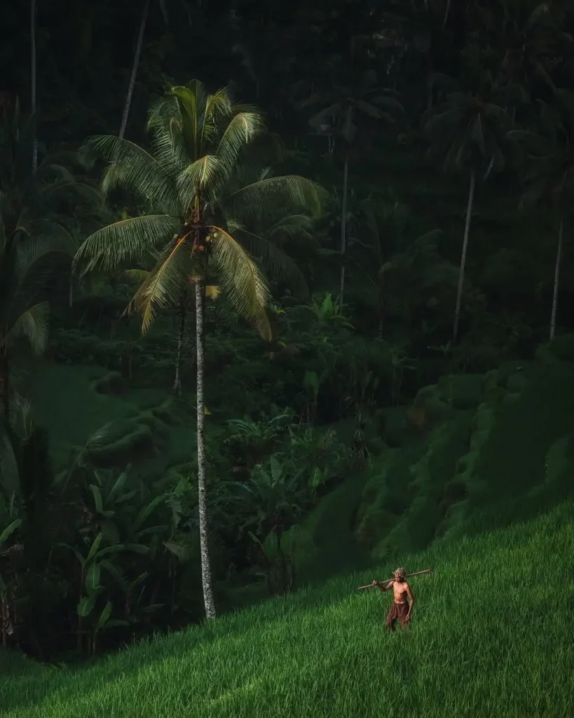 20260415091539880-图片_10