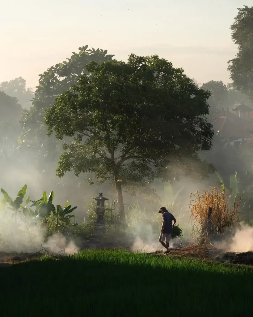 20260415091549193-图片_11