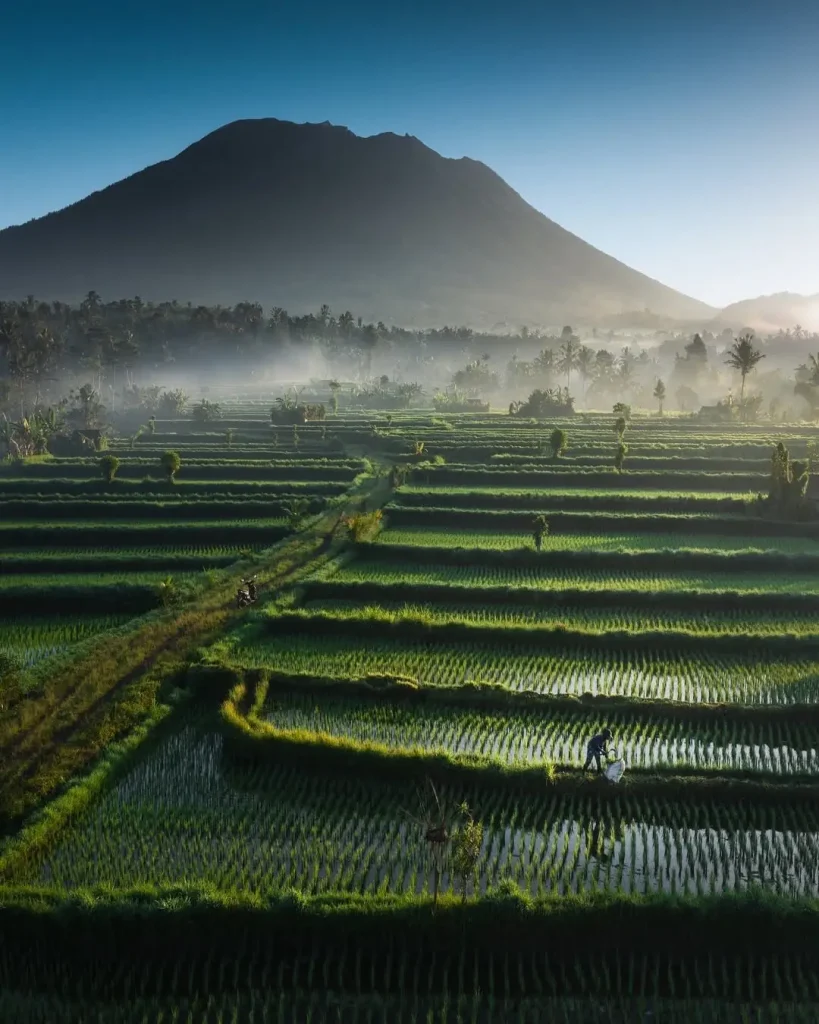 20260415091549316-图片_12