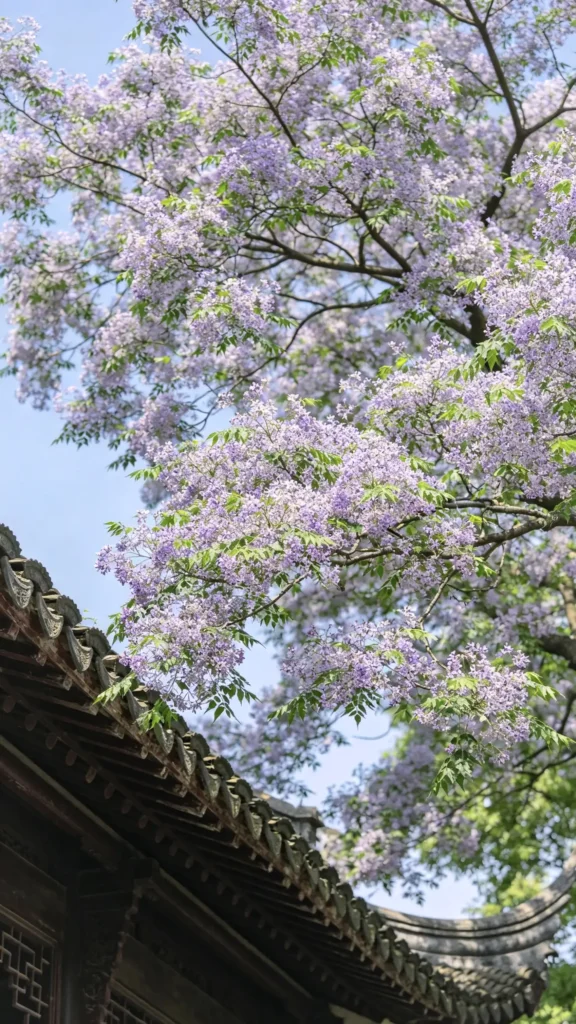 20260607202030135-图片_6