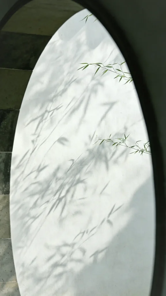 20260609110334520-图片_2