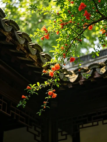 当我们抬头仰望，我们在仰望什么-沐光橙香