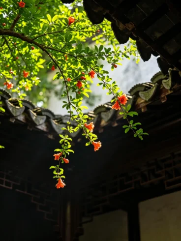 当我们抬头仰望，我们在仰望什么-沐光橙香