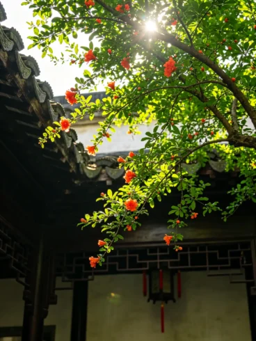 当我们抬头仰望，我们在仰望什么-沐光橙香
