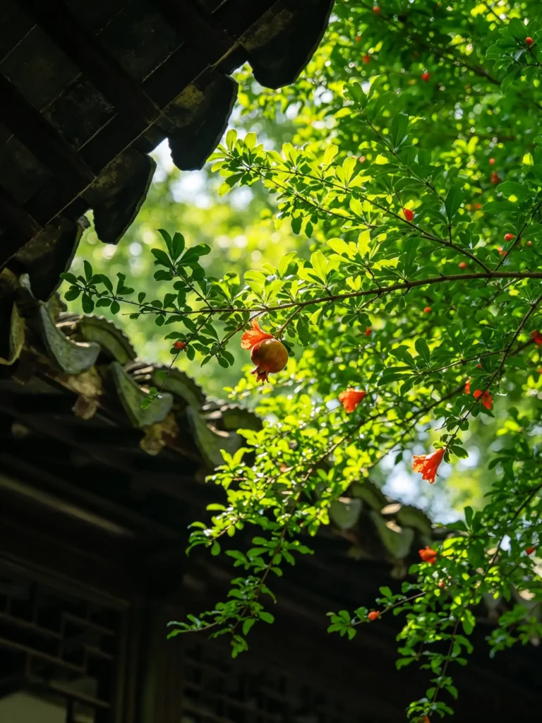 20260615111141911-图片_2