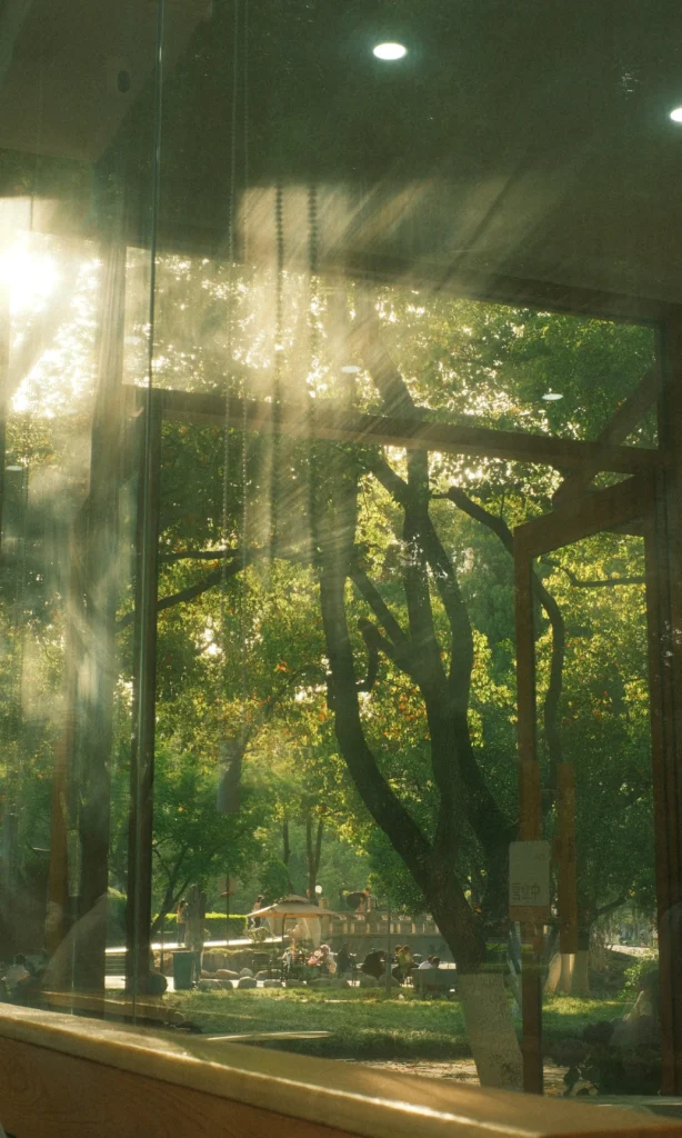 20260616230909891-图片_14