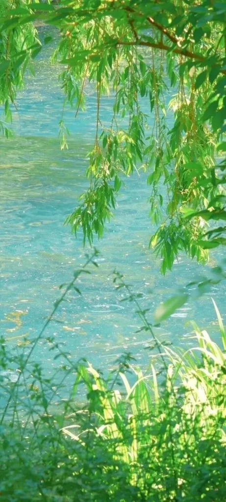 20260706150205339-图片_6