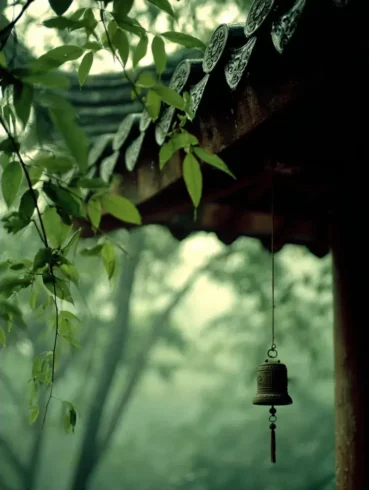 檐雨微风，绿芽风铃摇静春-沐光橙香
