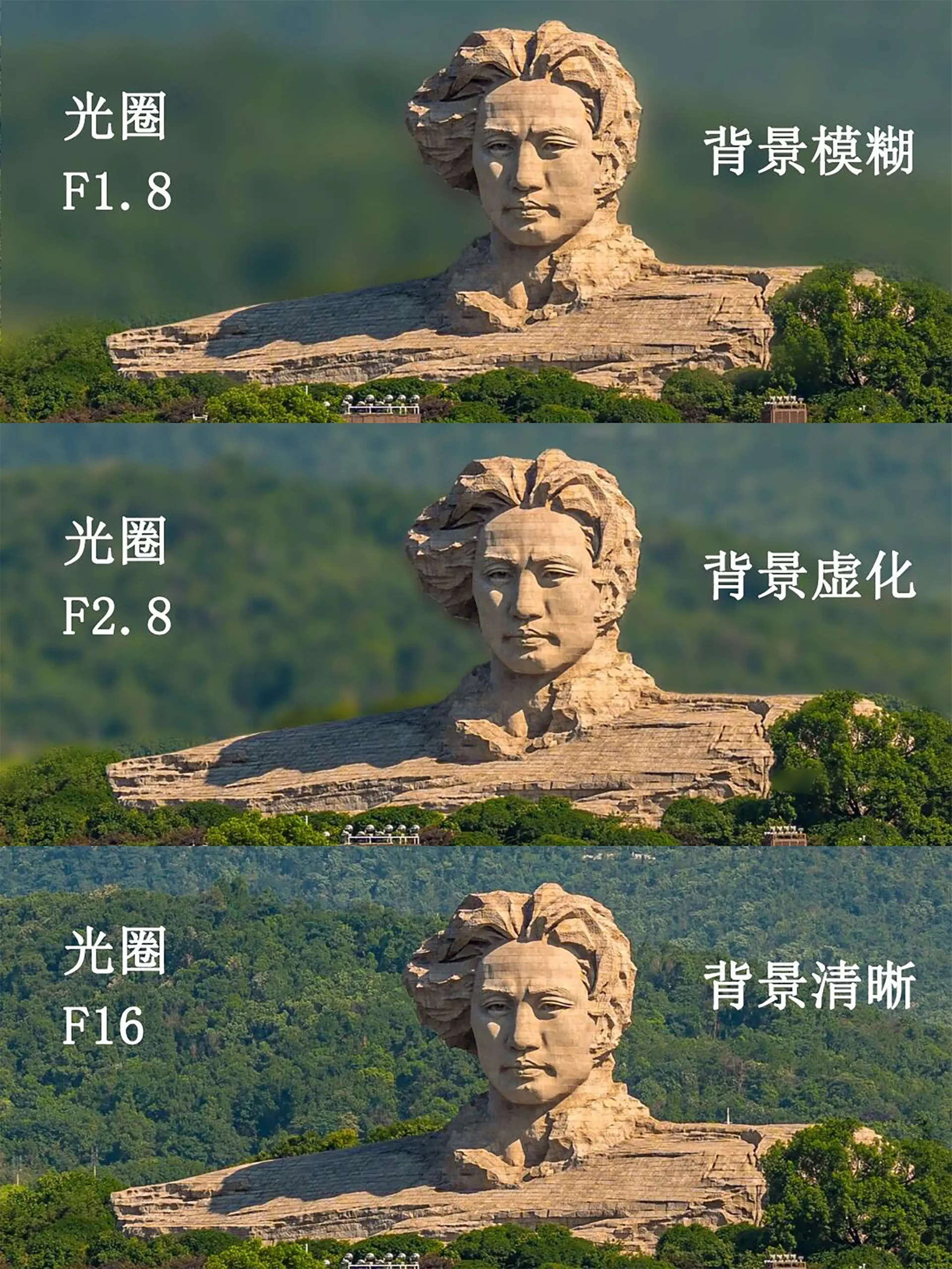 当我学会了曝光三要素-沐光橙香