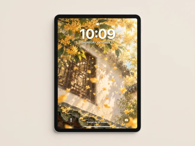 壁纸分享|🍂桂雨落檐-沐光橙香