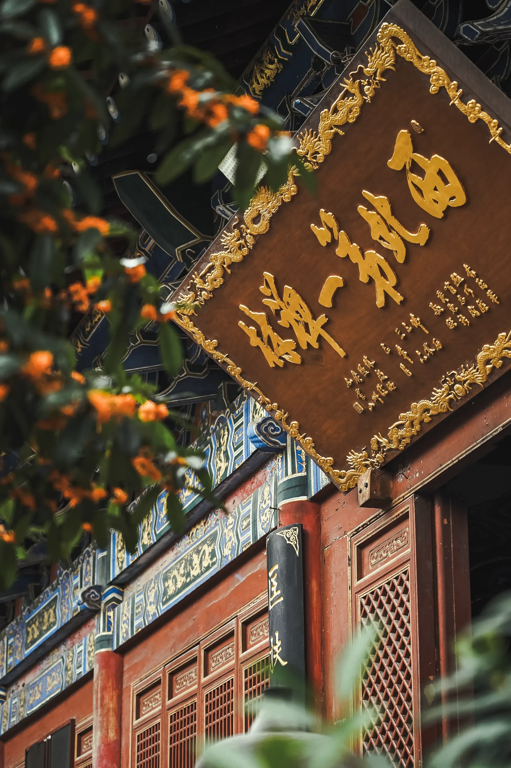 在卧龙禅寺邂逅一场桂花雨！