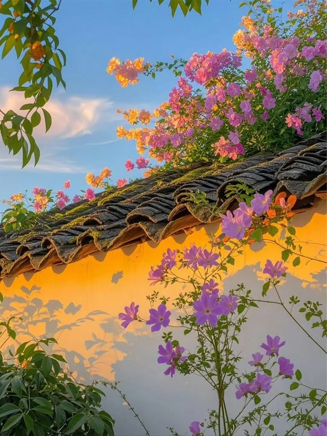 光影入画,皆是温柔