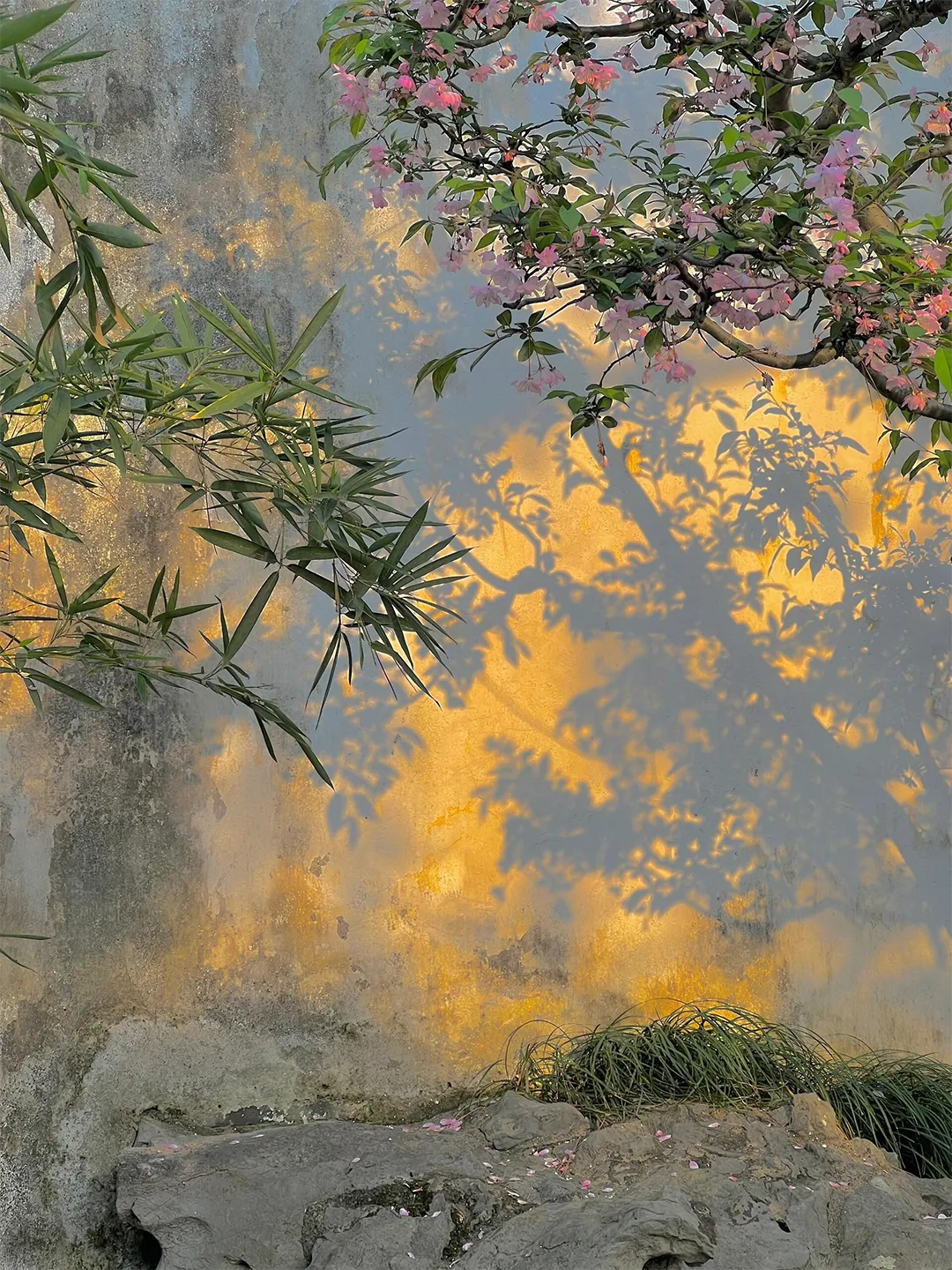 光影入画,皆是温柔