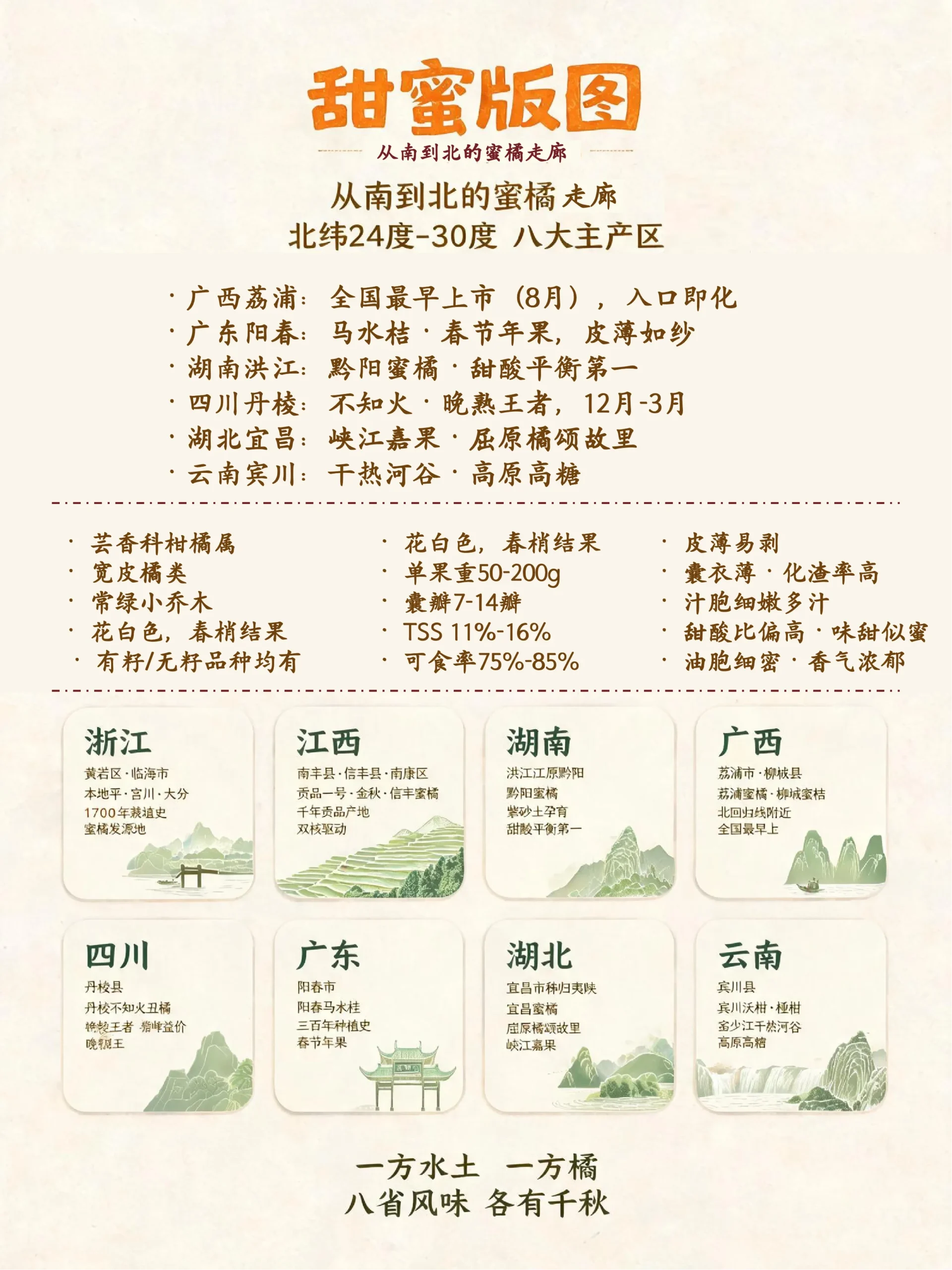 🍊寻橘记｜中国蜜橘品种图鉴与产区甜蜜版图-沐光橙香