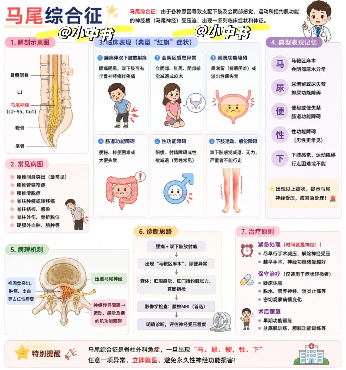 🧠 马尾综合征：腰椎间盘突出患者必须警惕的急症