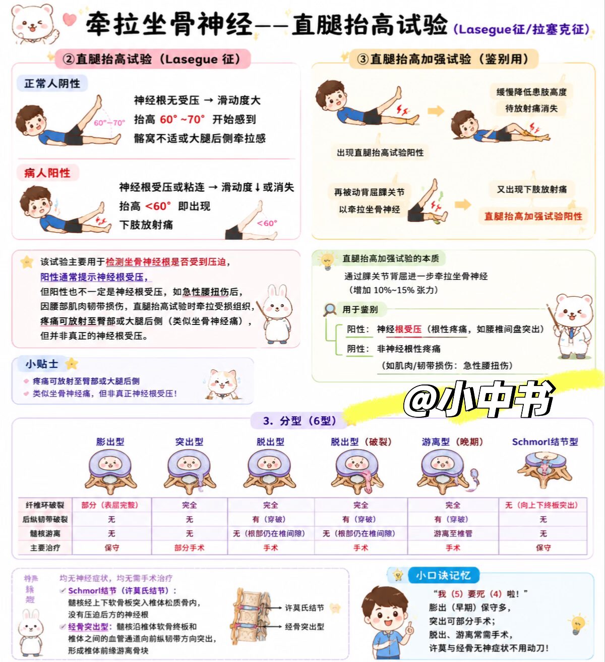 直腿抬高试验(Lasegue征)临床速记📚✨