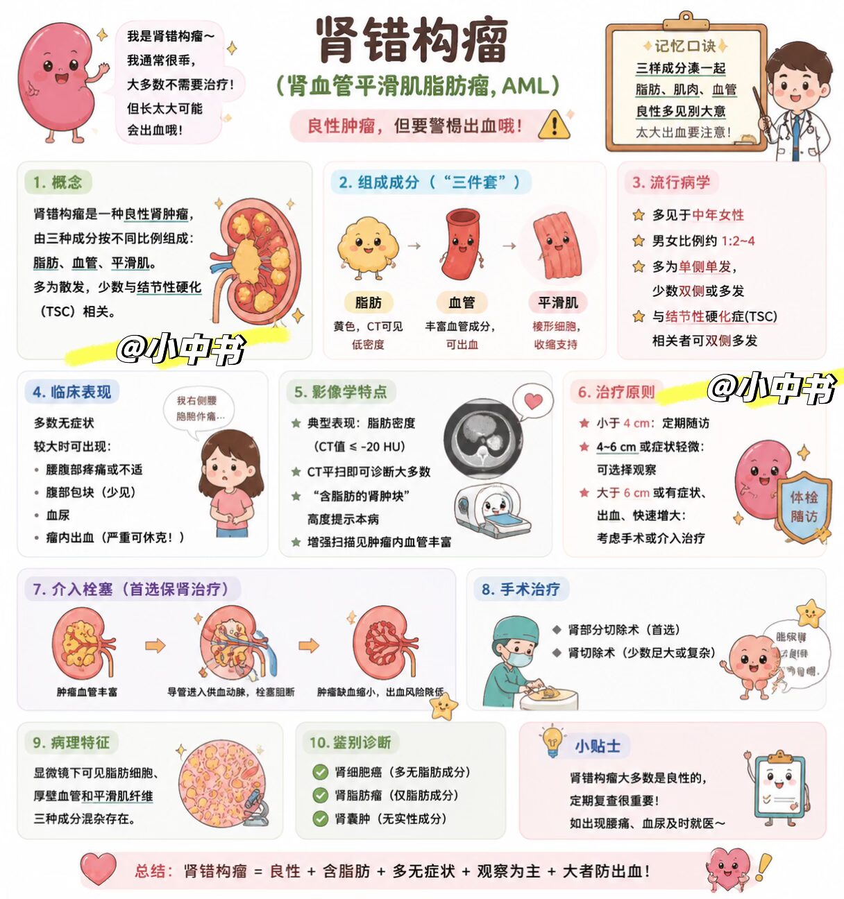 🫘肾错构瘤（AML）｜临床速记：良性“小肿瘤”，重点防出血！