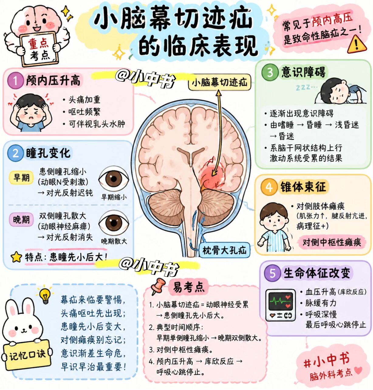🧠小脑幕切迹疝｜神经外科必考急症‼️