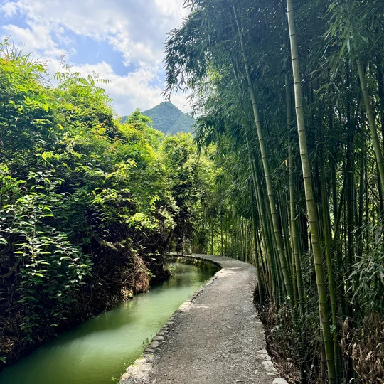 陪你喝晚茶的头像-沐光橙香