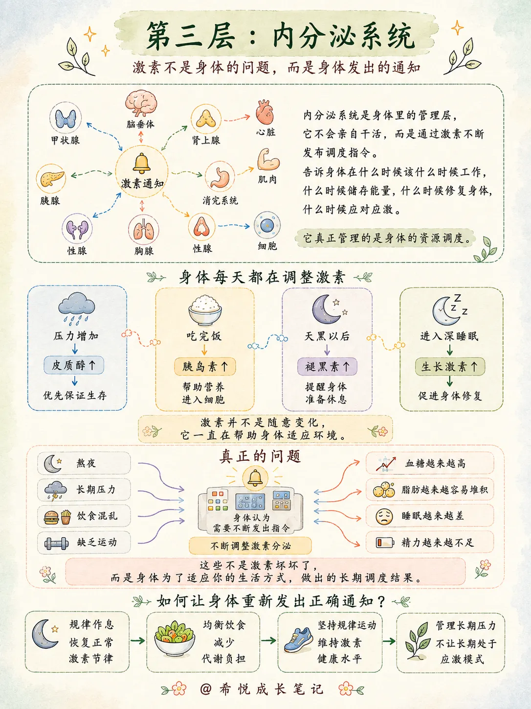 把身体当成一家公司来经营🏢