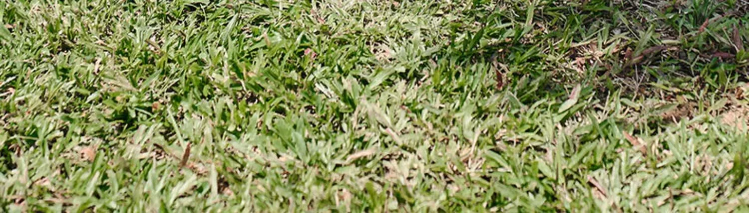 openway月亮椅 户外折叠椅露营营地便携收纳沙滩椅跨境可批发代发