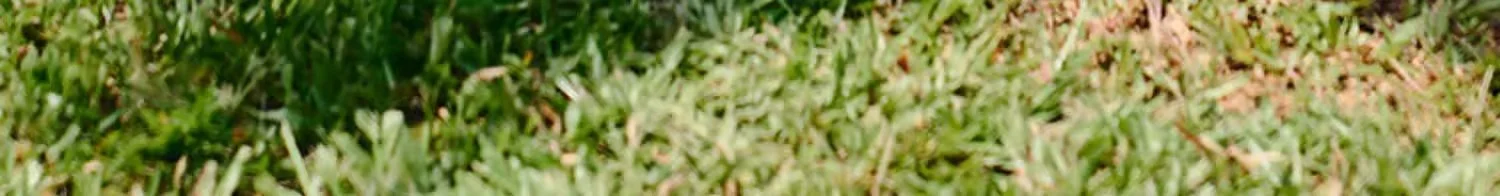 openway月亮椅 户外折叠椅露营营地便携收纳沙滩椅跨境可批发代发